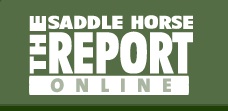 Saddle Horse Report